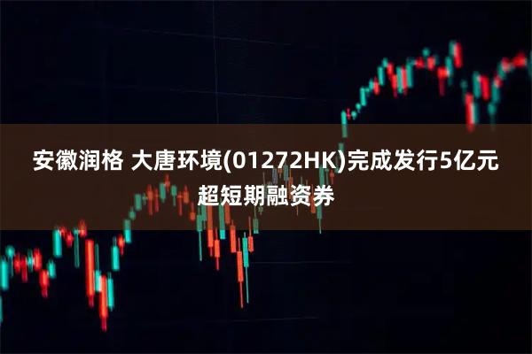 安徽润格 大唐环境(01272HK)完成发行5亿元超短期融资券